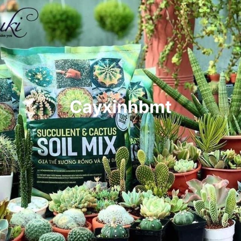 Đất trồng SOIL MIX