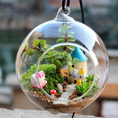 Tiểu cảnh Terrarium